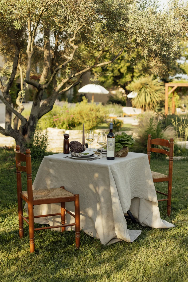 Table dressée sous les oliviers
