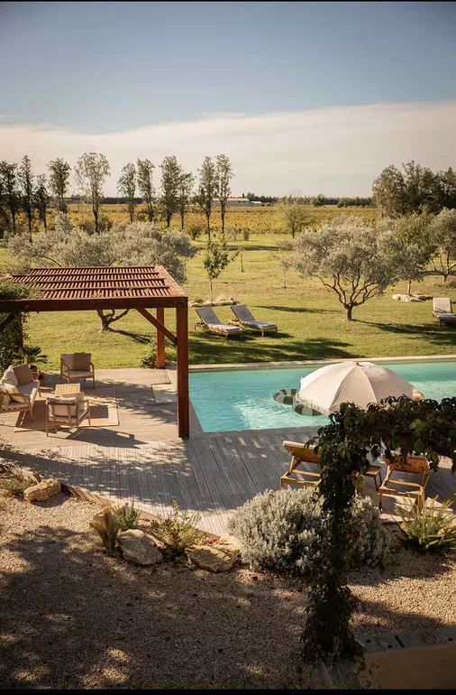 Vue sur les oliviers et la piscine d’Olea Terra