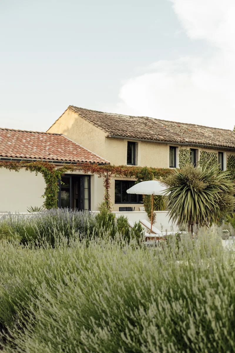 Maison provençale du domaine Olea Terra